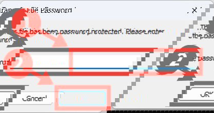 Окно ввода пароля для архива в Transwiz