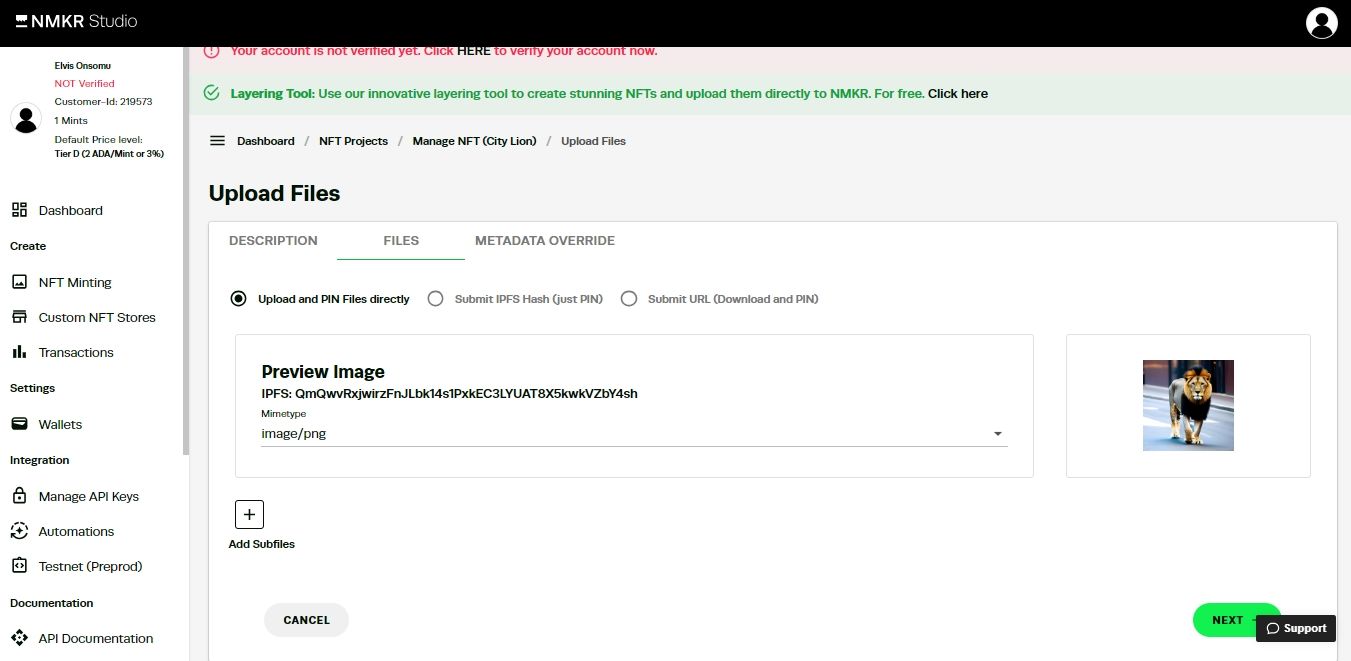 Скриншот NMKR: загрузка файла NFT и размещение в IPFS