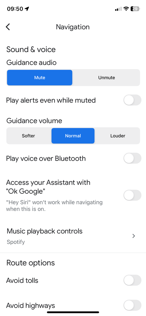 Google Maps на iOS с открытым диалогом Навигация