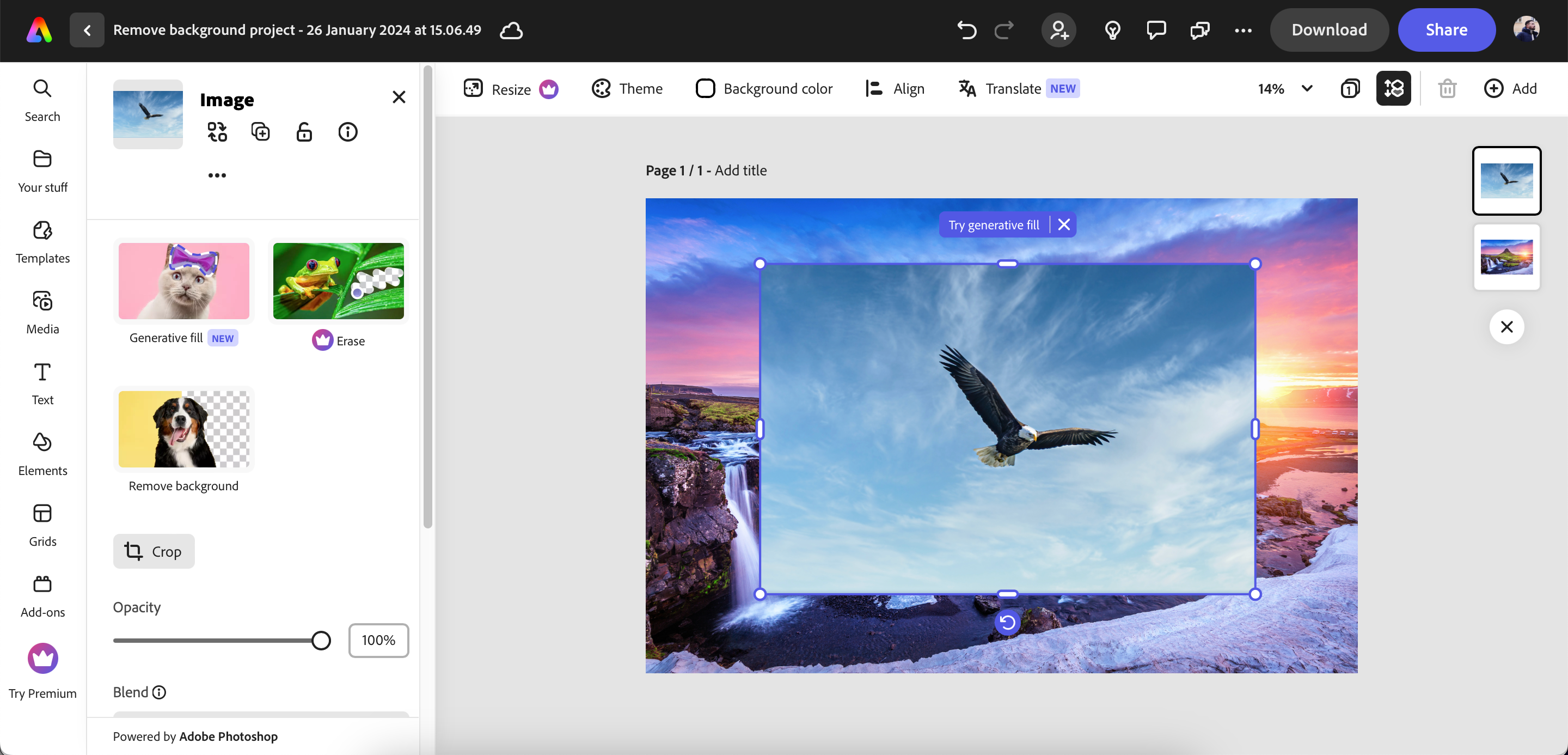 Два изображения рядом в Adobe Express