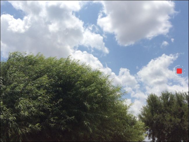 Фрагмент экрана iPhone с кнопкой записи таймлапса и индикатором съёмки