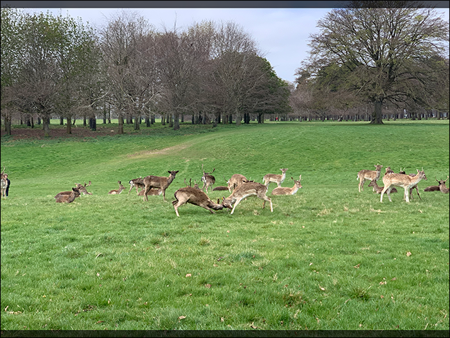 Как выглядит изображение, обрезанное для формата 5x7