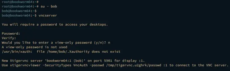 Инициализация VNC Server: ввод пароля и запуск сеанса