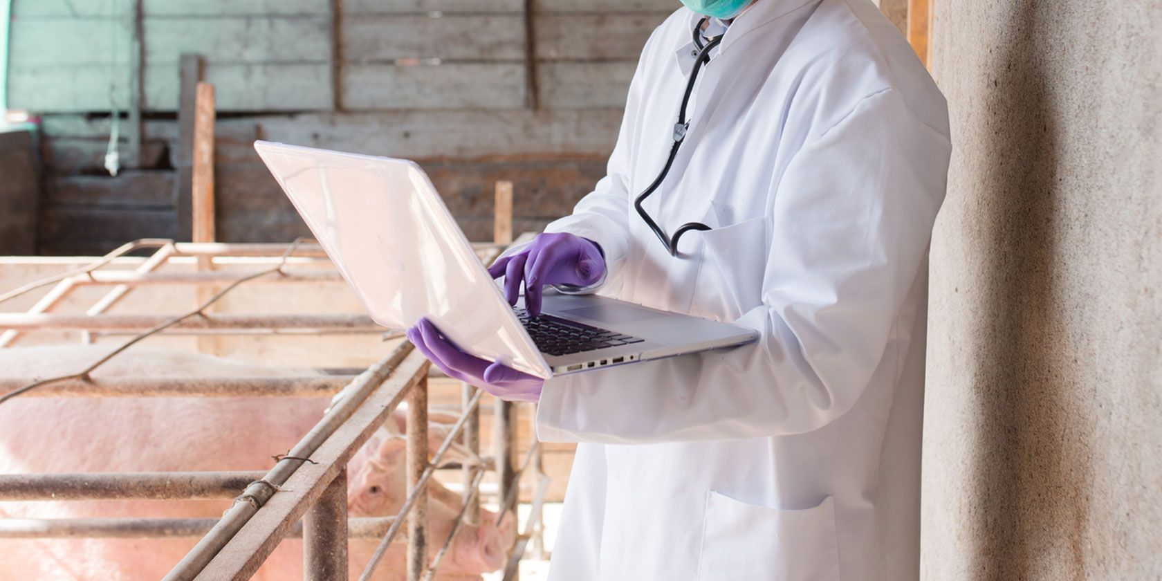 Безопасное копирование файлов с заражённого компьютера