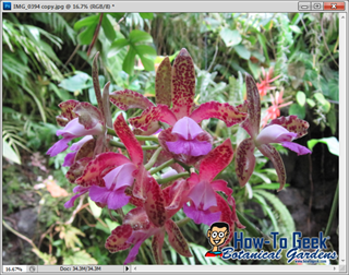 Инструменты Photoshop для удаления объектов: Healing Brush, Clone Stamp и Content‑Aware Fill