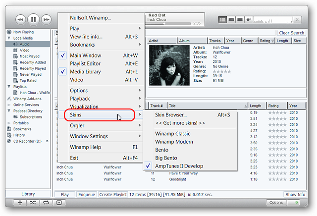 Меню смены скина в Winamp правым кликом