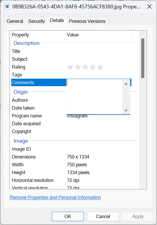 Добавление комментария к JPG-файлу через вкладку «Сведения»