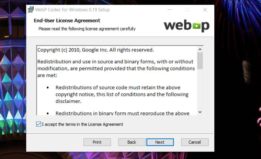 Опция I accept the terms для WebP Codec