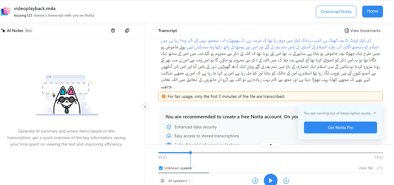 скриншот расшифровки в Notta