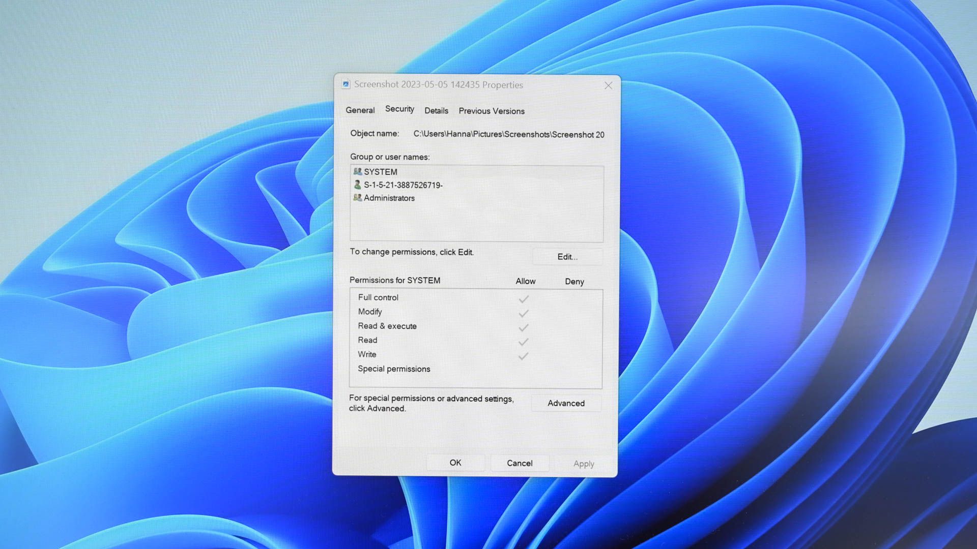 Как взять владение файлом в Windows