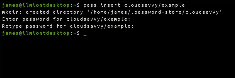 Скриншот процесса pass insert в терминале