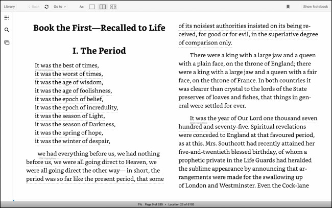 Настроенный вид читалки Kindle, занимающий весь экран