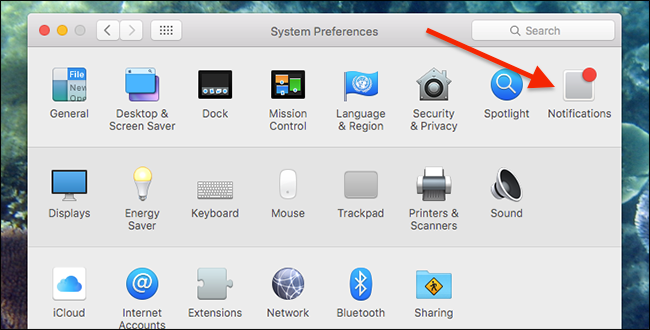 Системные настройки — Уведомления macOS
