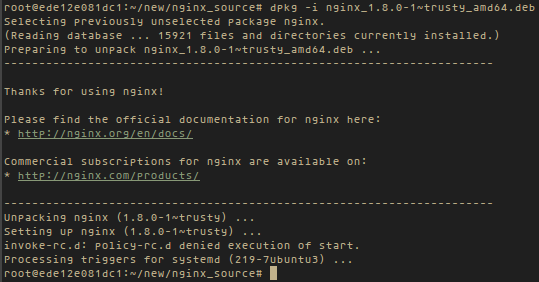 Установка собранного пакета nginx