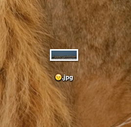 Emoji inserita nel nome del file in Finder