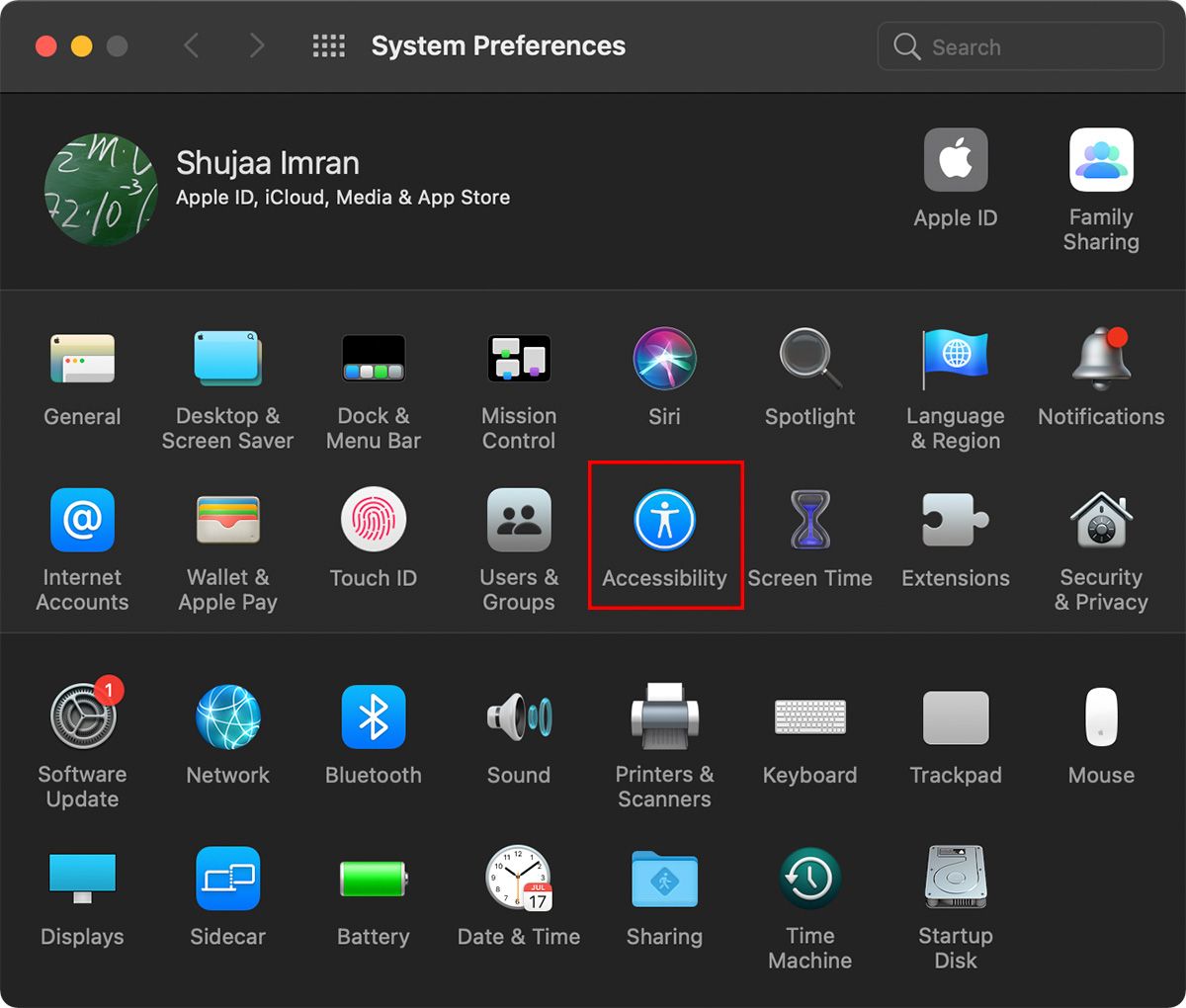 Окно Универсального доступа на Mac