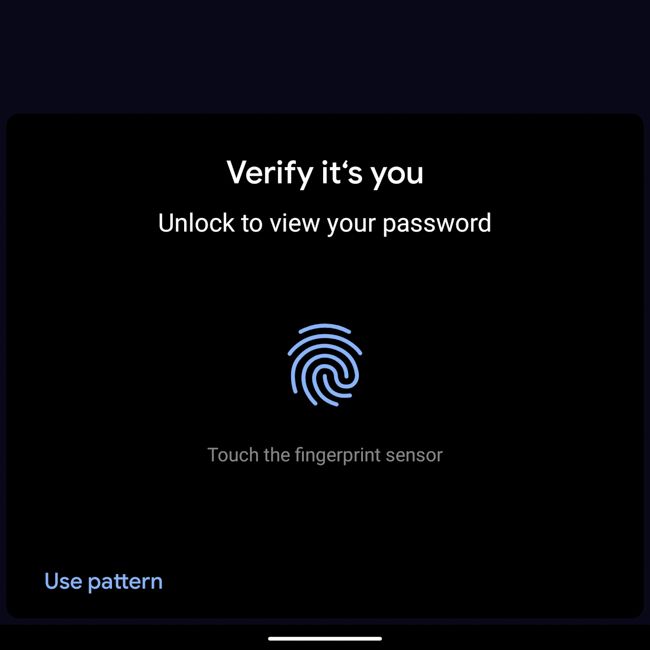 Android Chrome Password Security