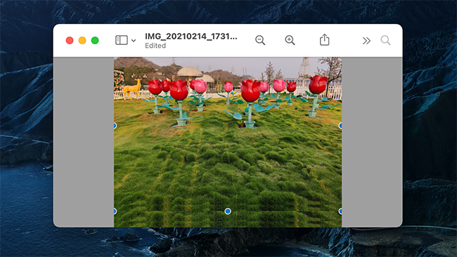 Изображение в окне Preview