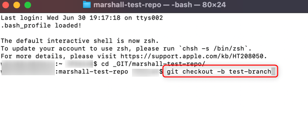 Выполнение команды для создания новой ветки локально