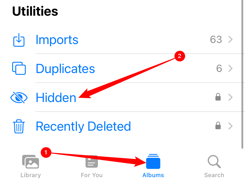 Откройте «Albums», затем выберите «Hidden».