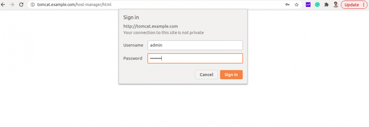 Страница входа Host Manager Tomcat