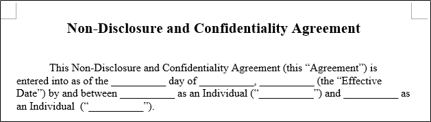 Первый абзац с полями для заполнения