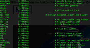 Вывод файла /etc/services с назначением портов