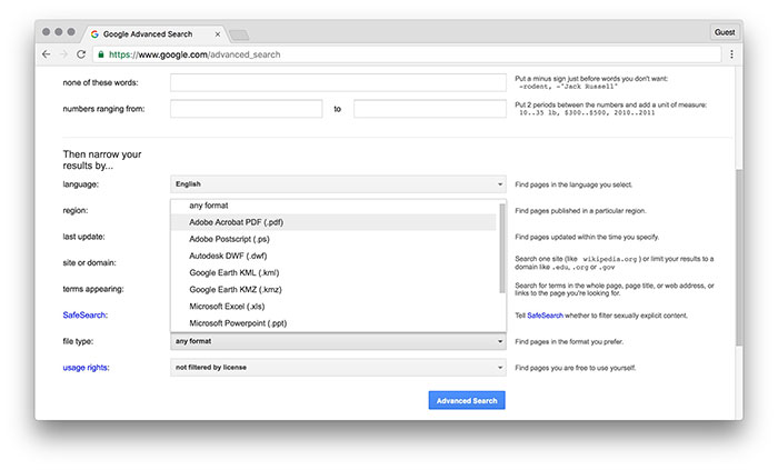 Фильтр типа файла в расширенном поиске, выбран PDF