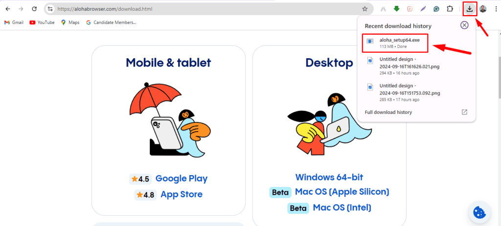 Открытие установочного файла Aloha