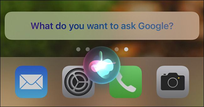 Подсказка Siri Что вы хотите спросить у Google