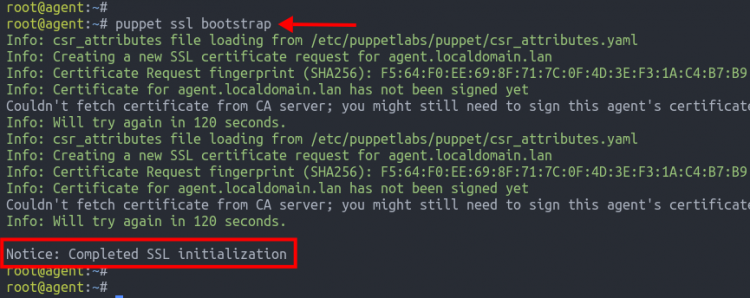 Сообщение на агенте: Completed SSL initialization