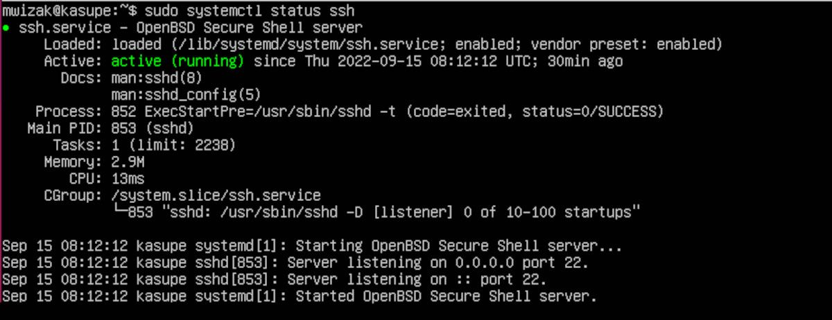 Вывод статуса службы SSH в Ubuntu