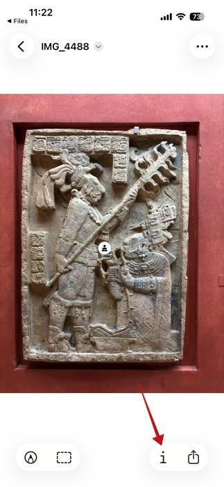 Фото: Информация о файле в приложении «Просмотр» на iPhone с указанием типа файла.