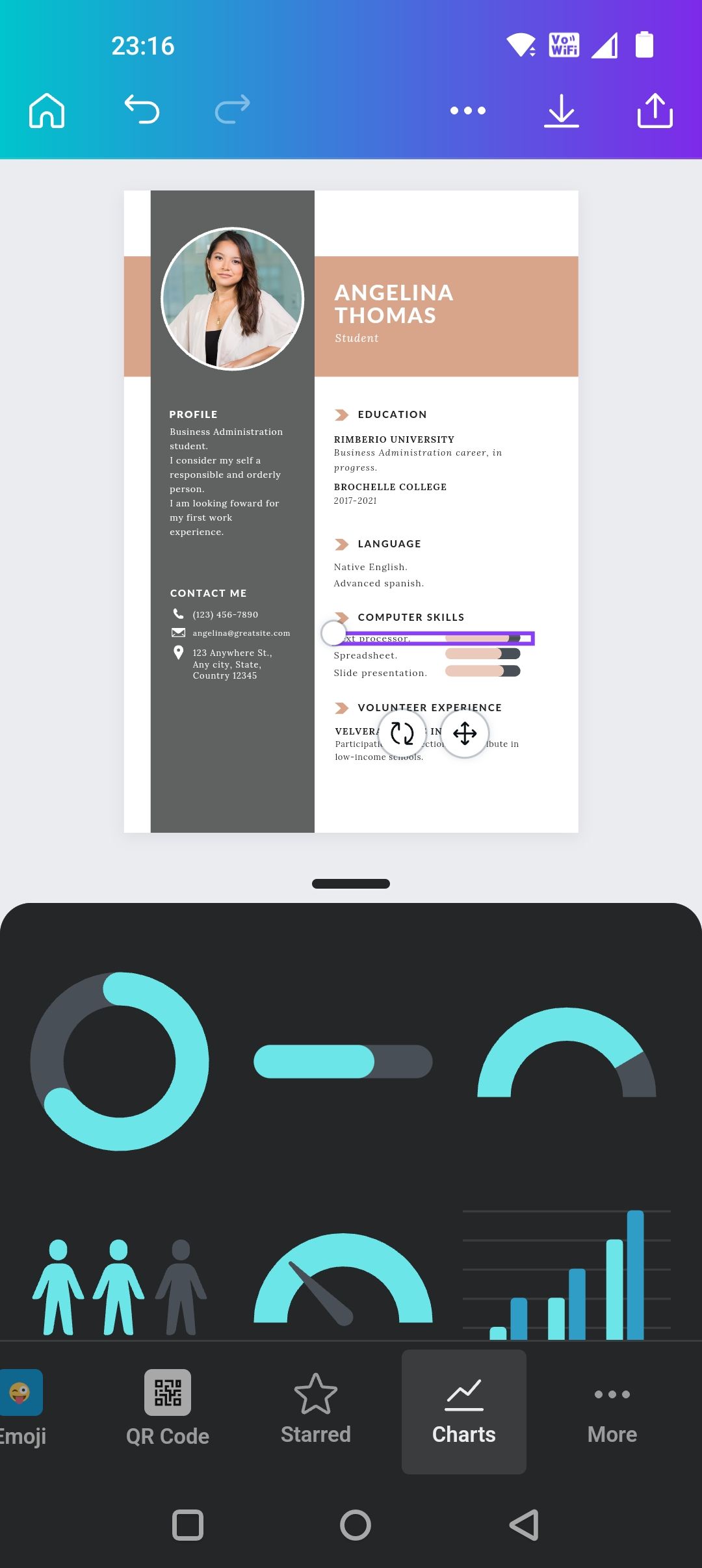 Добавление графиков в резюме через Canva