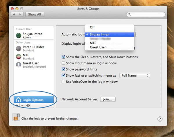 Параметры входа для настройки автоматического входа