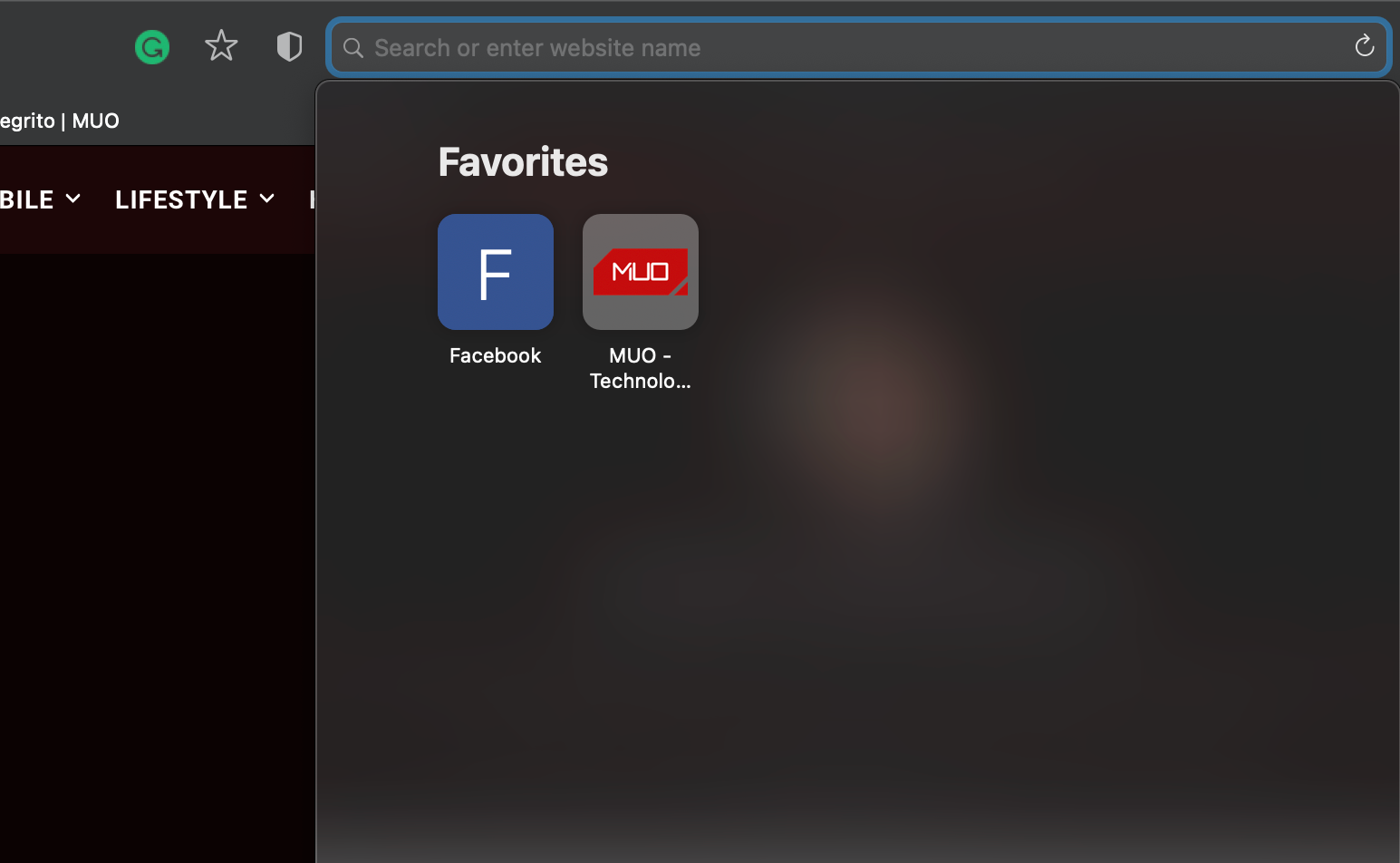 Отображение Избранного в поле Умного поиска Safari