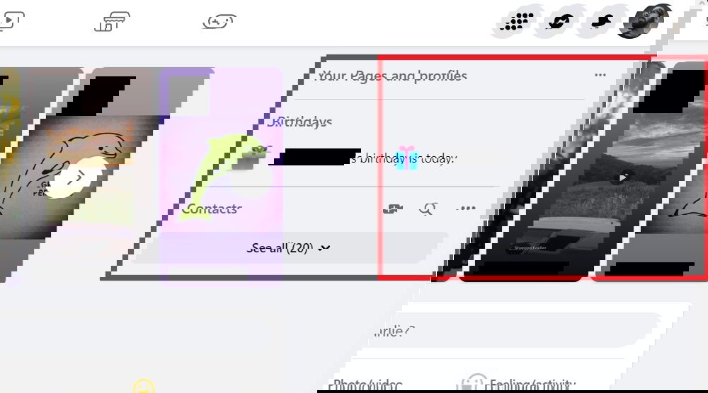 Список разделов Facebook на рабочем столе: Pages, Profiles, Birthdays, Contacts