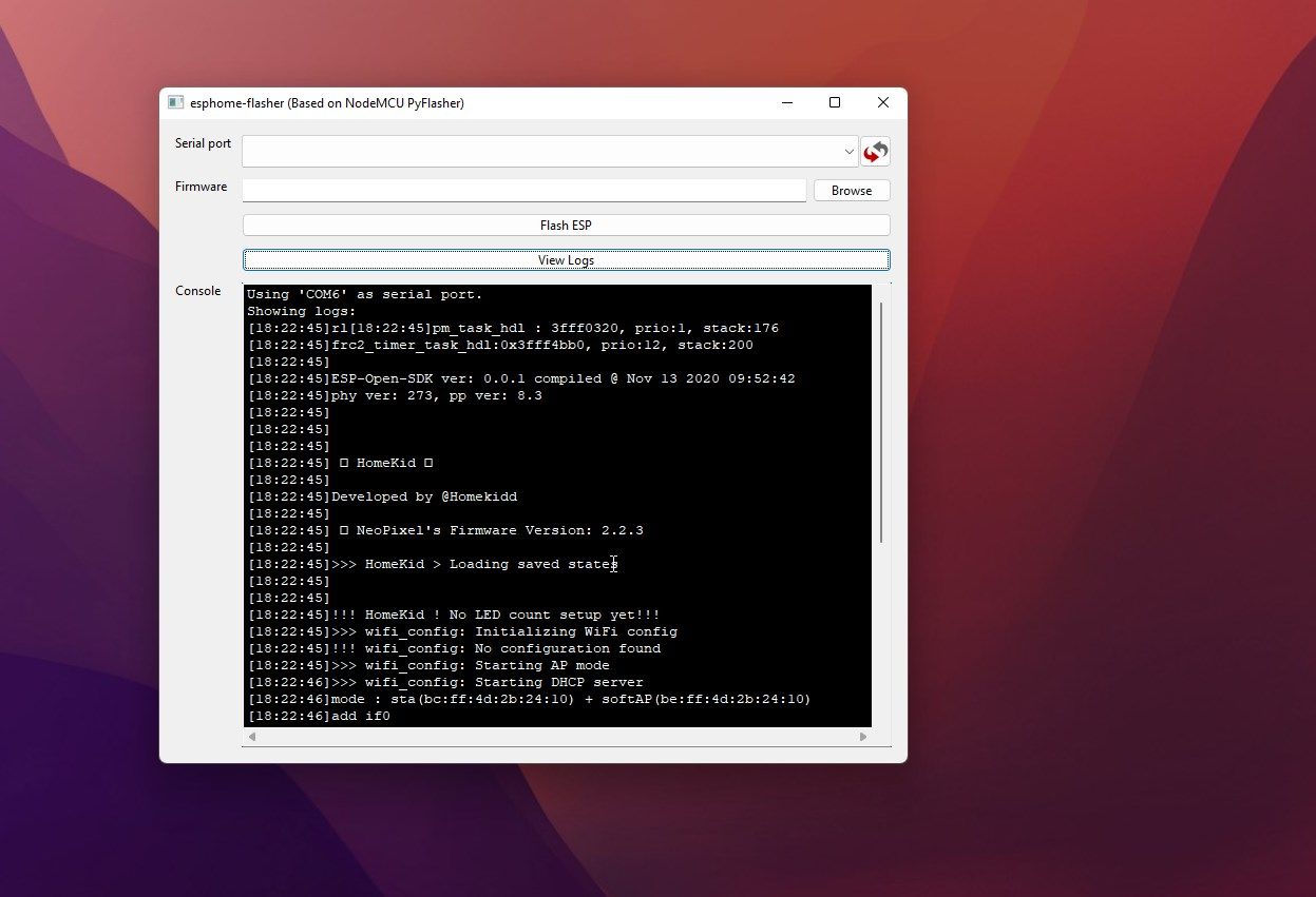 checking logs for information on diy homekit neopixel strip controller setup