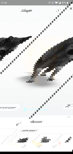 Object View: 3D‑енот можно вращать и увеличивать