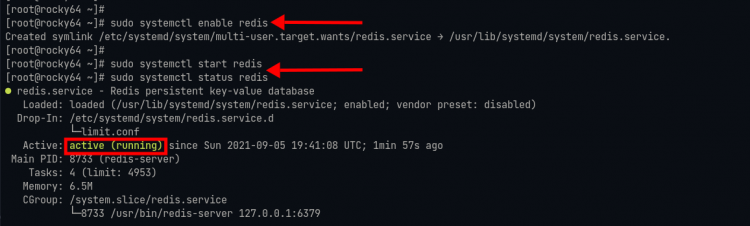Скриншот запуска и статуса сервиса redis