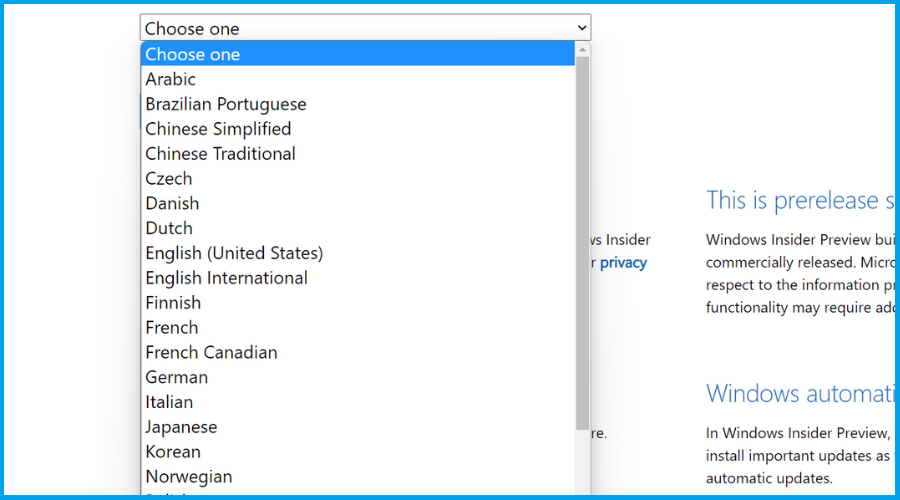 Выбор языка для ISO Windows 11 22H2