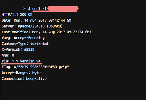 Тест HTTP доступа через curl