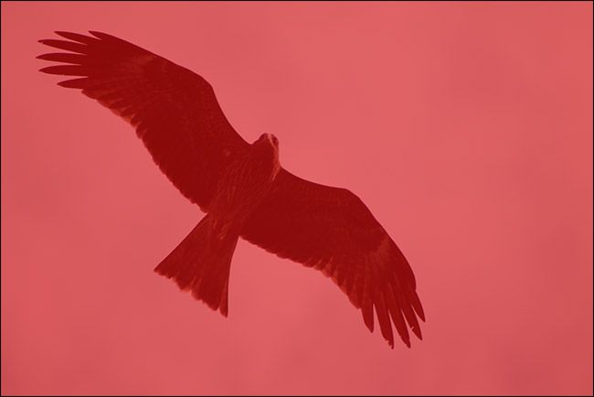 Исходный слой и дубликат для безопасной работы