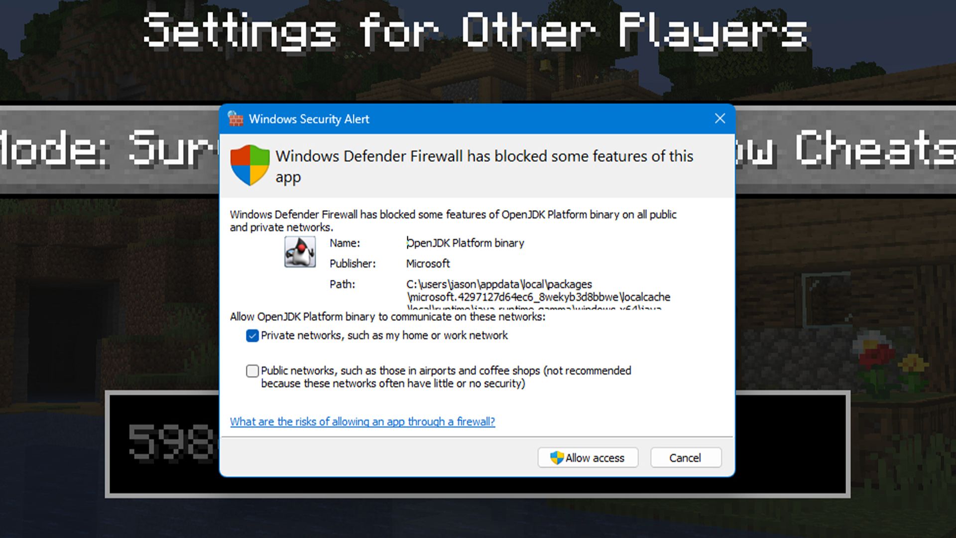 Окно предупреждения брандмауэра Windows для Java при попытке запустить локальную игру Minecraft