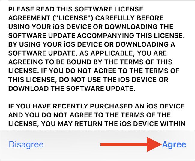 Экран с условиями и кнопка «Согласиться»
