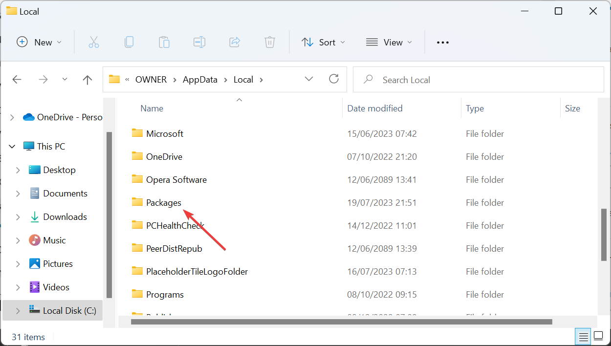 Папка Packages в AppDataLocal