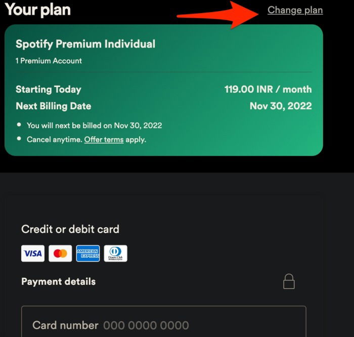 Раздел платёжных данных на странице Spotify