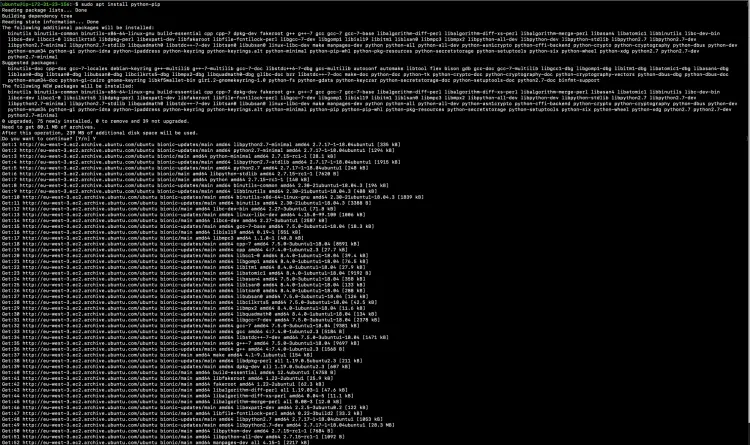 Установка pip для Python
