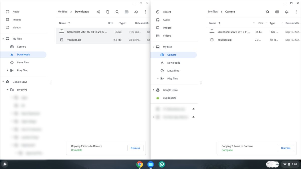 Вставка выделенных файлов в папку с помощью CTRL + V