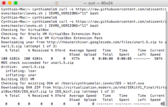 Terminal app showing Internet Explorer command